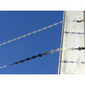 razor barbed wire for protection